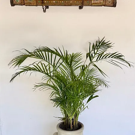 La Giara 3*