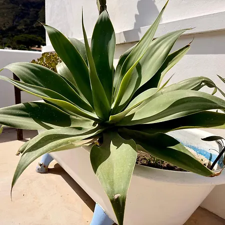 La Giara 3*